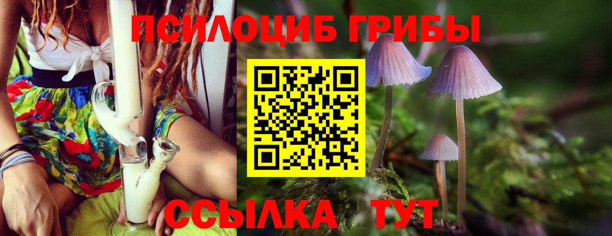 Галлюциногенные грибы прущие грибы Сухой Лог